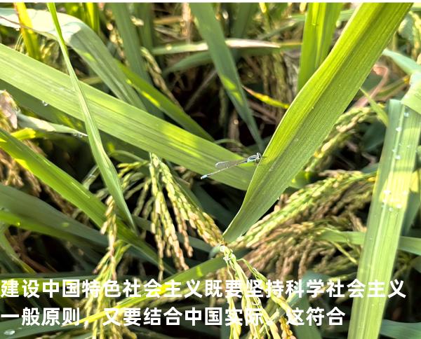 建设中国特色社会主义既要坚持科学社会主义一般原则，又要结合中国实际。这符合 