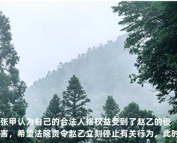 张甲认为自己的合法人格权益受到了赵乙的侵害，希望法院责令赵乙立刻停止有关行为，此时张甲可以