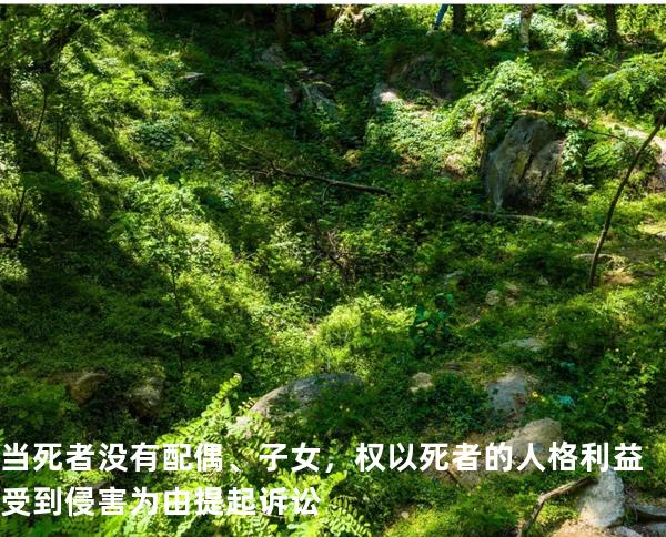 当死者没有配偶、子女，权以死者的人格利益受到侵害为由提起诉讼