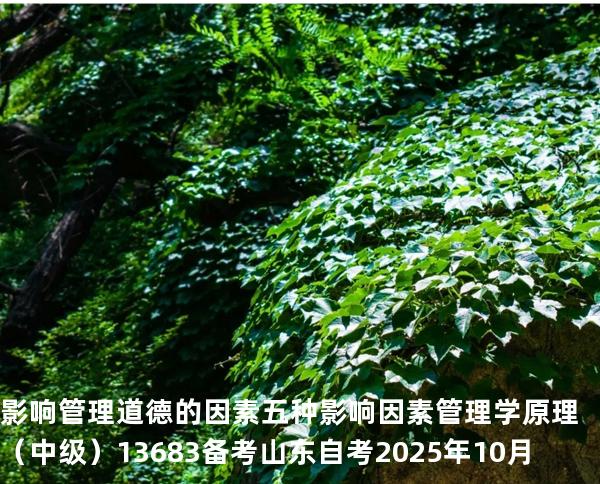 影响管理道德的因素 五种影响因素 管理学原理（中级）13683备考山东自考2025年10月