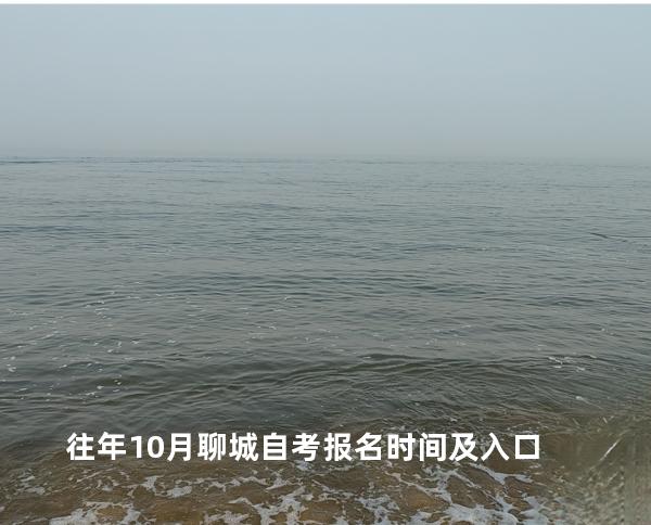 往年10月聊城自考报名时间及入口