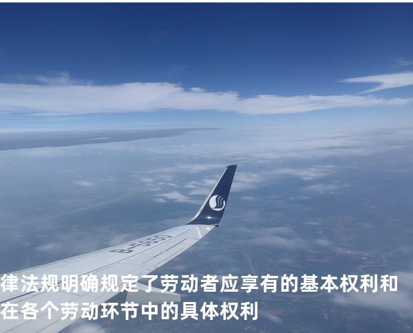 律法规明确规定了劳动者应享有的基本权利和在各个劳动环 节中的具体权利