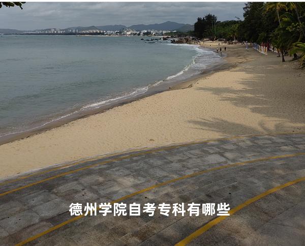 德州学院自考专科有哪些