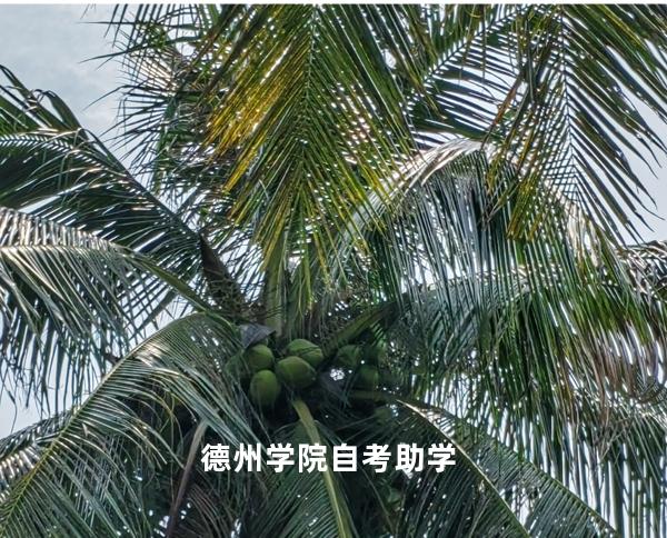 德州学院自考助学