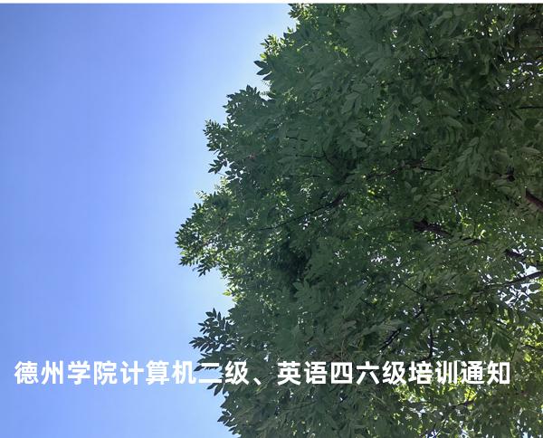 德州学院计算机二级、英语四六级培训通知