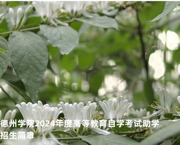 德州学院2024年度高等教育自学考试助学招生简章