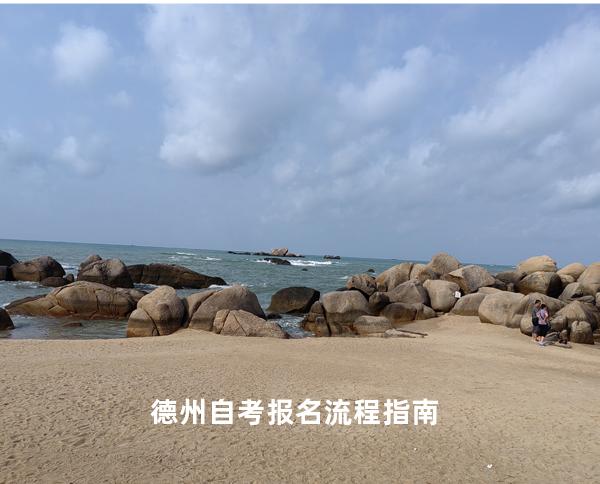 德州自考报名流程指南