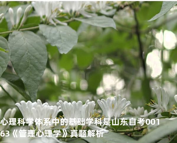 心理科学体系中的基础学科是  山东自考00163《管理心理学》真题解析