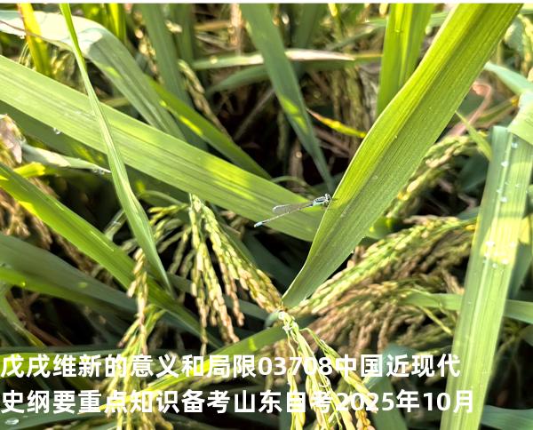 戊戌维新的意义和局限  03708 中国近现代史纲要重点知识   备考山东自考 2025年10月