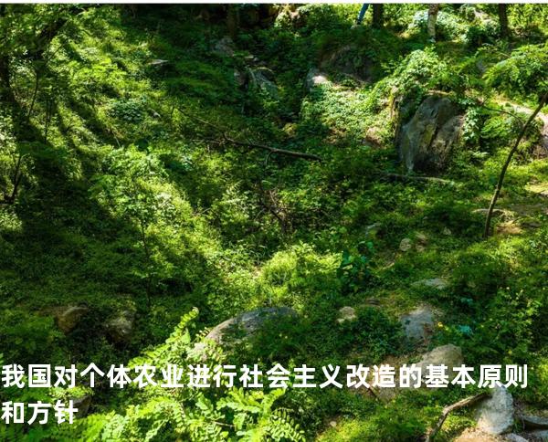 我国对个体农业进行社会主义改造的基本原则和方针
