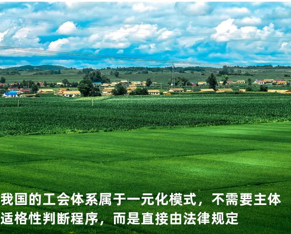 我国的工会体系属于一元化模式，不需要主体适格性判断程序，而是直接由法律规定