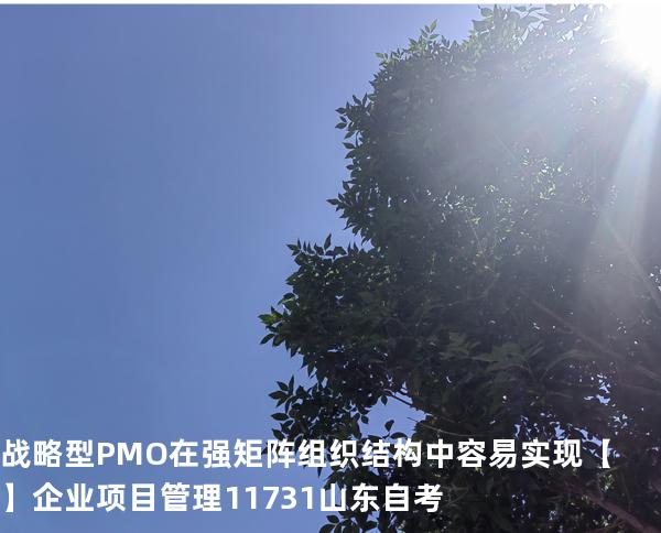 战略型PMO在强矩阵组织结构中容易实现【】企业项目管理 11731 山东自考
