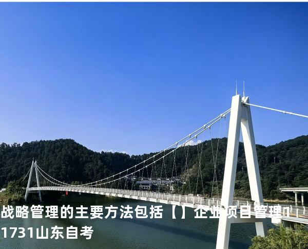战略管理的主要方法包括【】企业项目管理 11731 山东自考