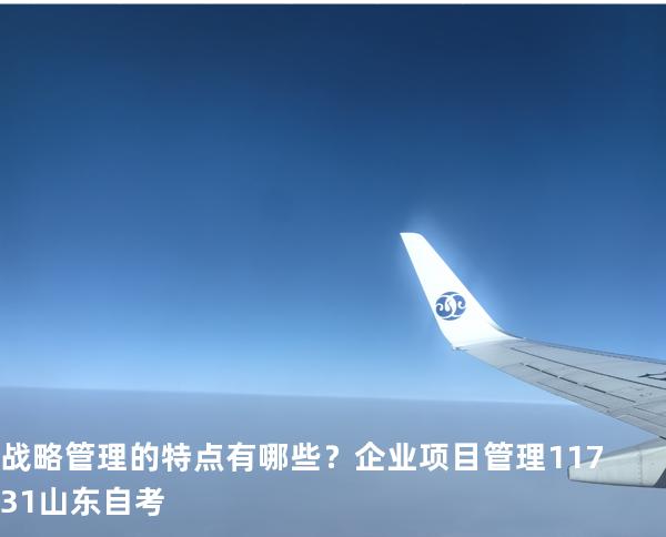 战略管理的特点有哪些？企业项目管理 11731 山东自考