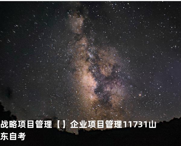 战略项目管理【】企业项目管理 11731 山东自考