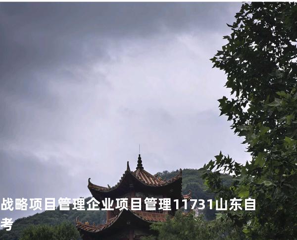 战略项目管理企业项目管理 11731 山东自考