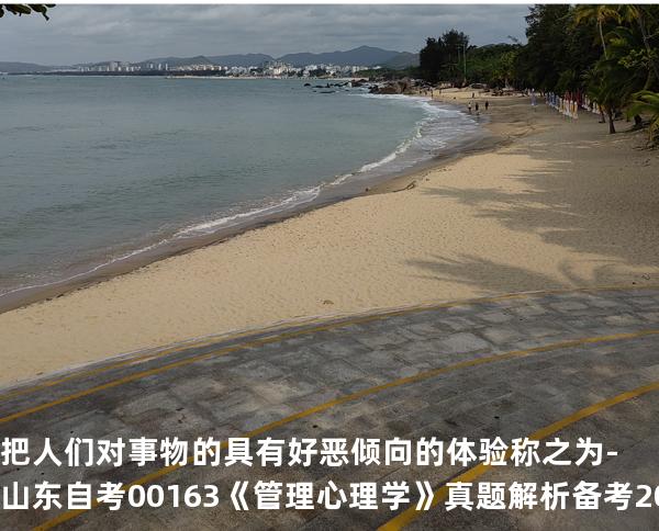   把人们对事物的具有好恶倾向的体验称之为-山东自考00163《管理心理学》真题解析备考2025年10月