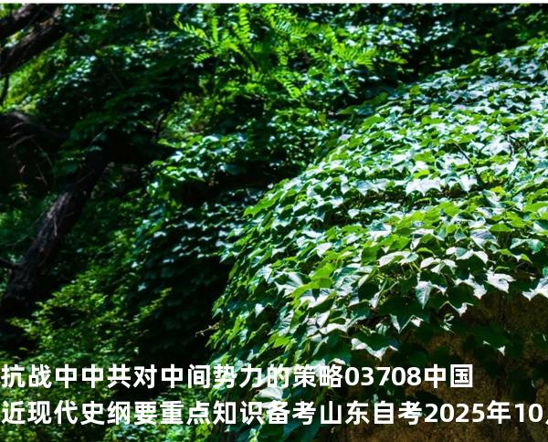 抗战中中共对中间势力的策略03708 中国近现代史纲要重点知识   备考山东自考 2025年10月