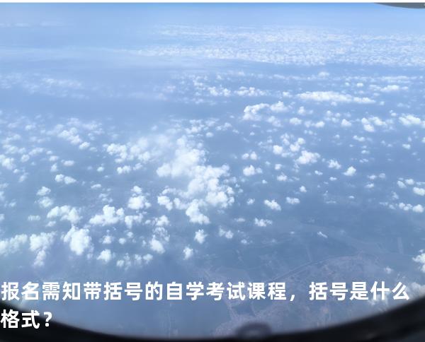 报名需知 带括号的自学考试课程，括号是什么格式？