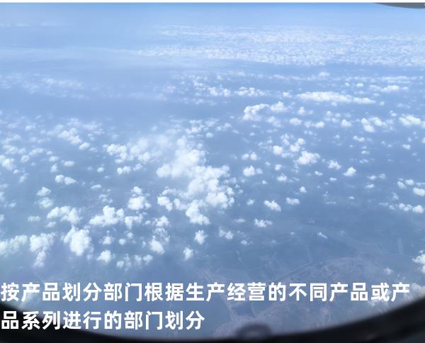 按产品划分部门 根据生产经营的不同产品或产品系列进行的部门 划分