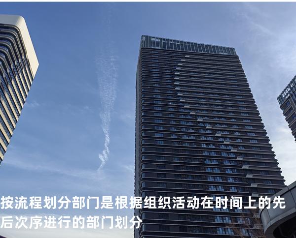 按流程划分部门 是根据组织活动在时间上的先后次序进行的部门 划分