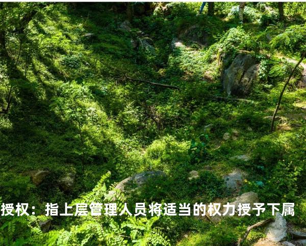 .授权：指上层管理人员将适当的权力授予下 属
