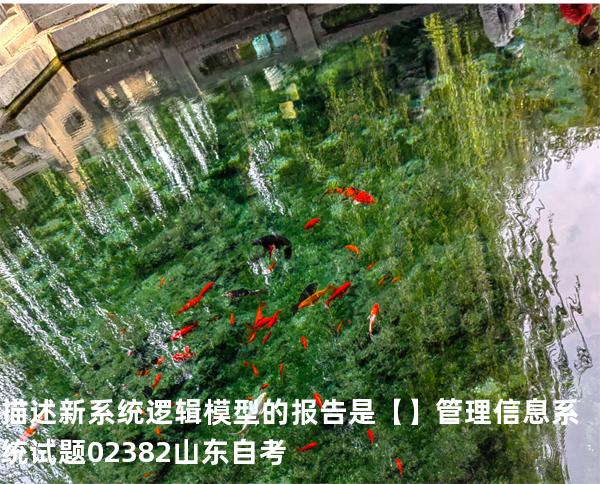 描述新系统逻辑模型的报告是【】管理信息系统试题 02382 山东自考