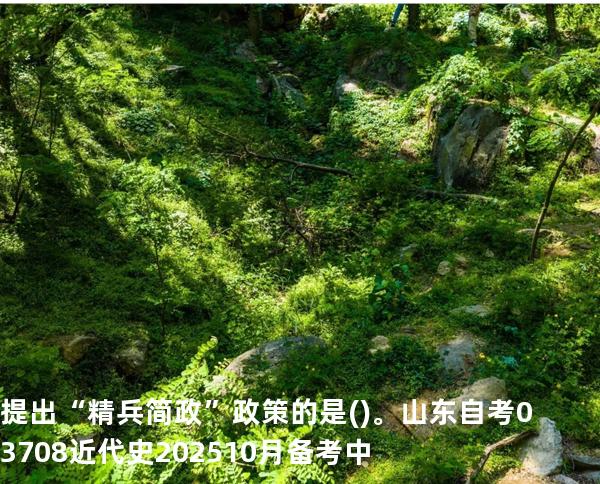 提出“精兵简政”政策的是()。 山东自考03708近代史 202510月备考中