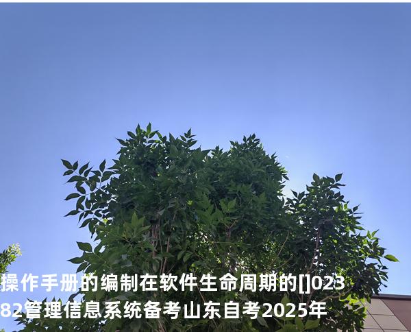 操作手册的编制在软件生命周期的[]02382管理信息系统备考山东自考2025年