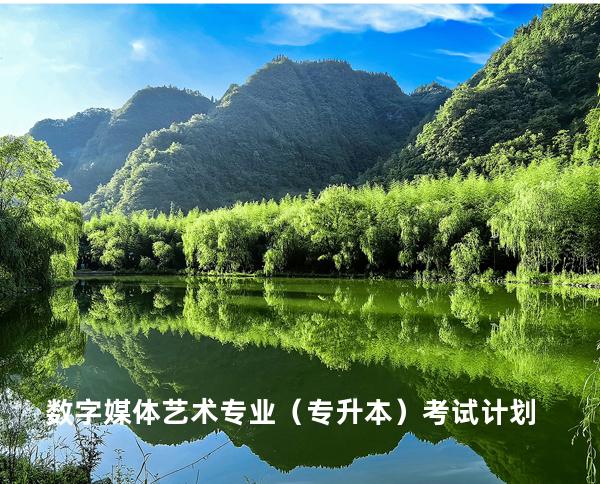 数字媒体艺术专业（专升本）考试计划