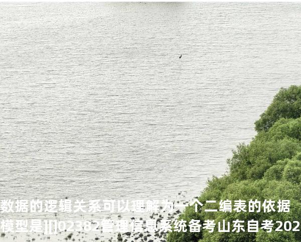 数据的逻辑关系可以理解为一个二编表的依据模型是][]02382管理信息系统备考山东自考2025年