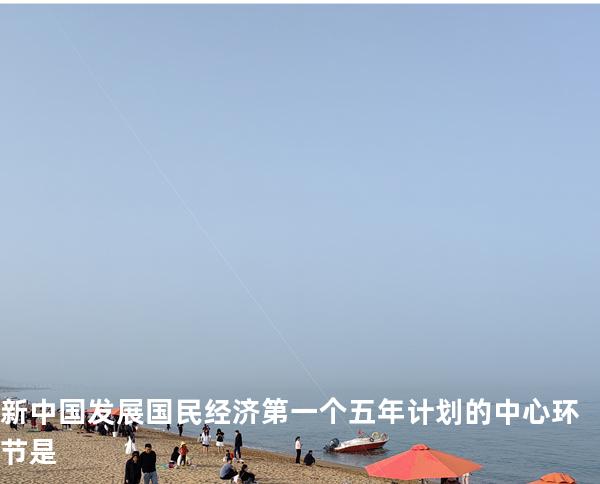 .新中国发展国民经济第一个五年计划的中心环节是 
