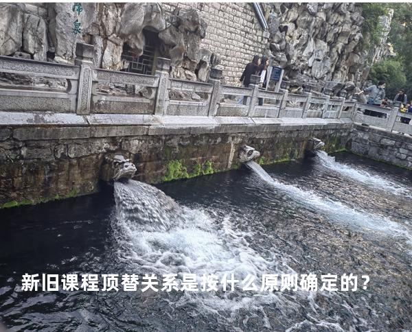 新旧课程顶替关系是按什么原则确定的？