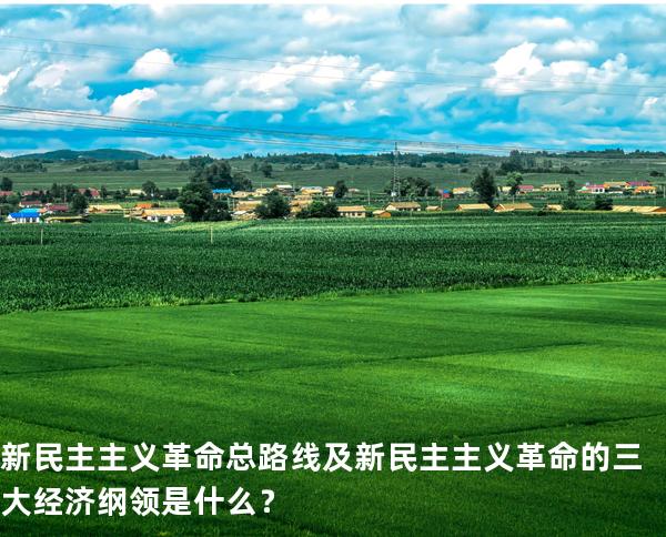新民主主义革命总路线及新民主主义革命的三大经济纲领是什么？