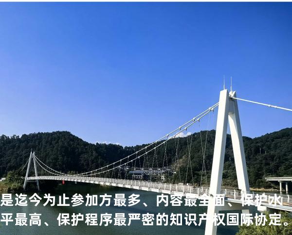 是迄今为止参加方最多、内容最全面、保护水平最高、保护程序最严密的知识产权国际协定。
