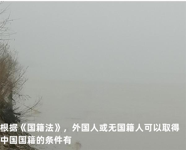 根据《国籍法》，外国人或无国籍人可以取得中国国籍的条件有