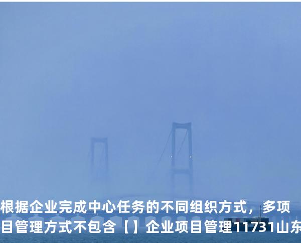 根据企业完成中心任务的不同组织方式，多项目管理方式不包含【】企业项目管理 11731 山东自考
