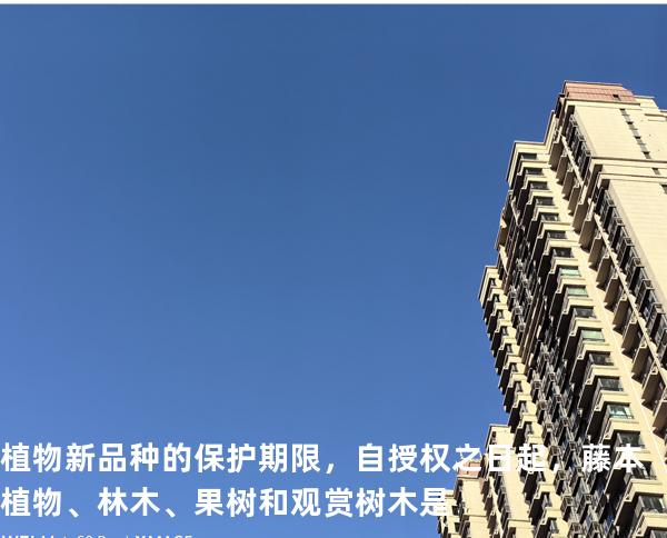 植物新品种的保护期限，自授权之日起，藤本植物、林木、果树和观赏树木是