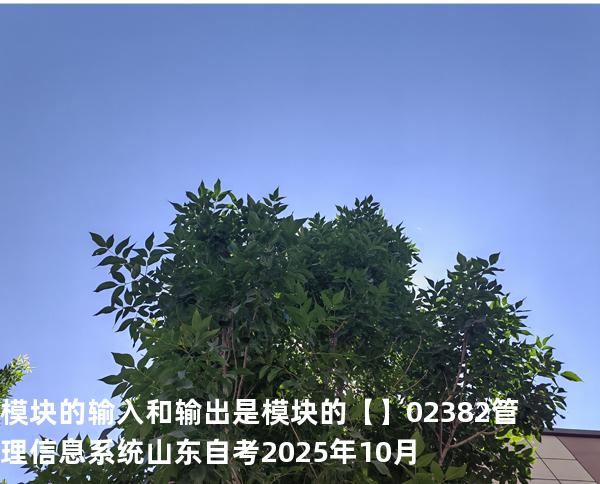 模块的输入和输出是模块的【】02382管理信息系统  山东自考2025年10月
