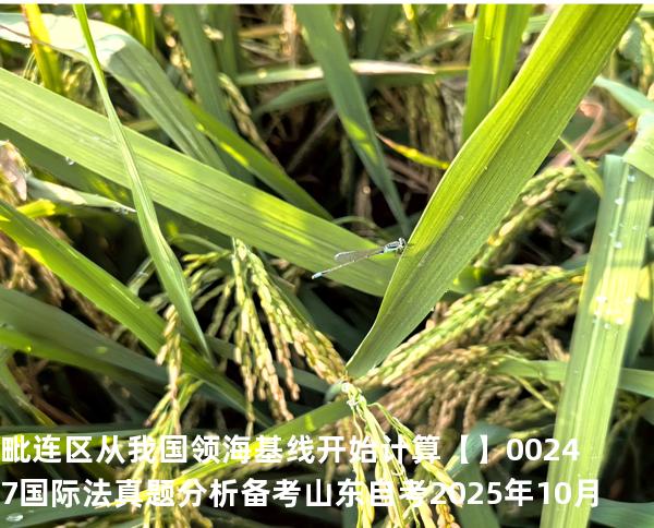 毗连区从我国领海基线开始计算【】00247 国际法 真题分析 备考山东自考2025年10月