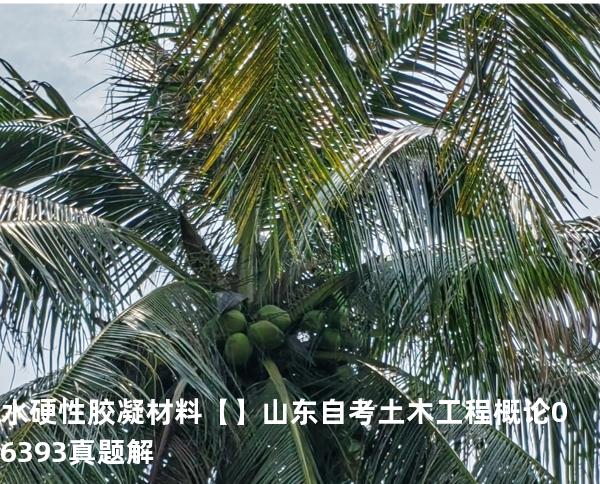 水硬性胶凝材料【】山东自考 土木工程概论 06393 真题解