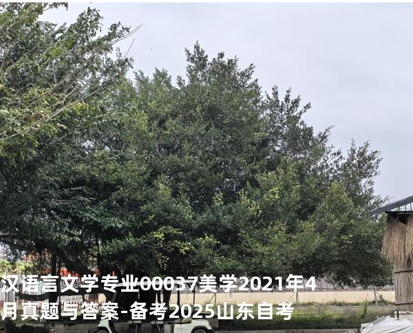汉语言文学专业 00037 美学2021年4月真题与答案-备考2025山东自考