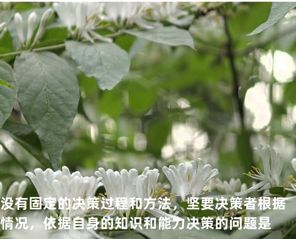 没有固定的决策过程和方法，坚要决策者根据情况，依据自身的知识和能力决策的问题是