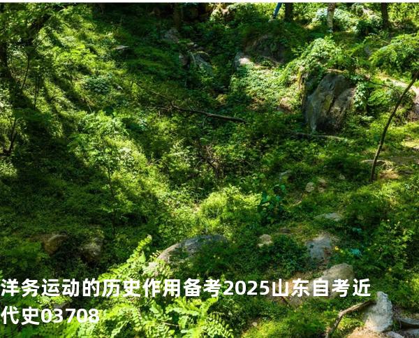 洋务运动的历史作用 备考2025山东自考 近代史 03708