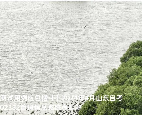 测试用例应包括【】2024 年 4 月 山东自考 02382管理信息系统 真题解