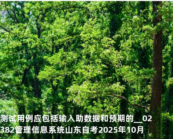 测试用例应包括输入助数据和预期的__02382管理信息系统  山东自考2025年10月
