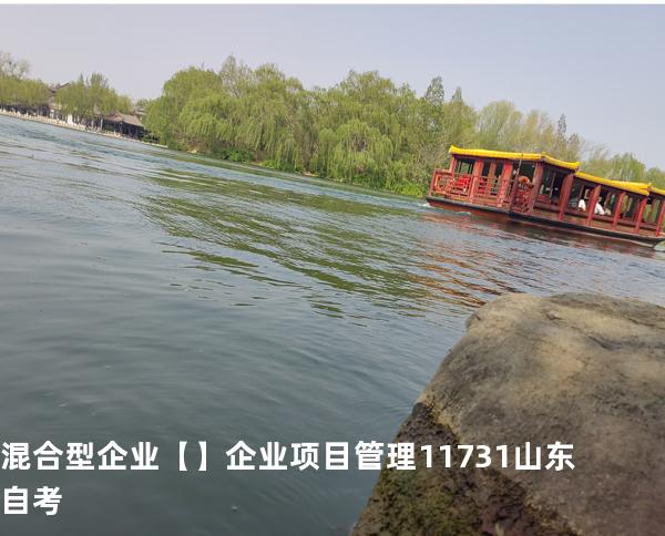 混合型企业【】企业项目管理 11731 山东自考
