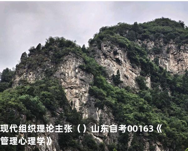 现代组织理论主张   （ ）  山东自考00163《管理心理学》