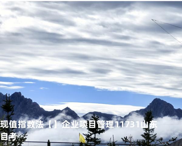 现值指数法【】企业项目管理 11731 山东自考