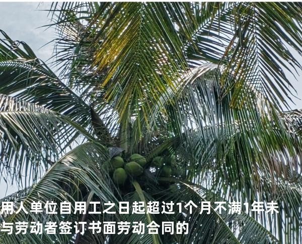 用人单位自用工之日起超过 1 个月不满 1 年未与劳动者签订书面劳动合同的